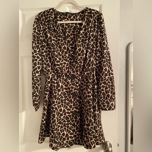Zara Women’s Leopard Print Dress